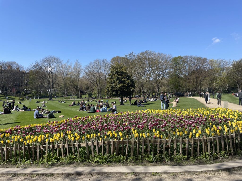 Merrion Square Flowers Scaled Bereen brothers