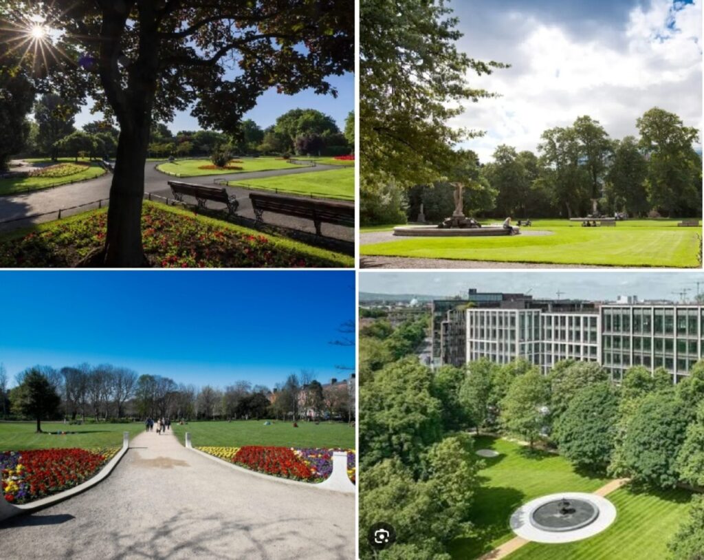 Local Parks Bereen brothers